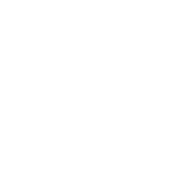 Denim Destiny