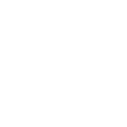 Gamez to Fly