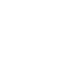 Larus Motor Work