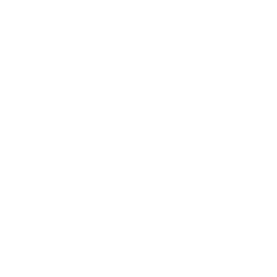 Skydome Designs