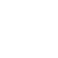 Texveichi